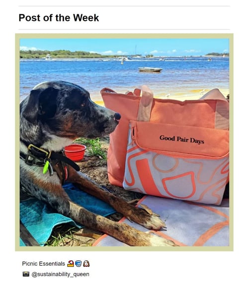 Good pair days instagram dog photo, small business newsletter examples