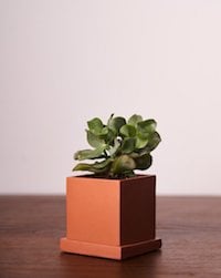 anther-moss-brick-plant-pot