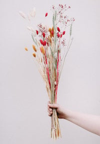 ratatouille-dried-flower-bouquet
