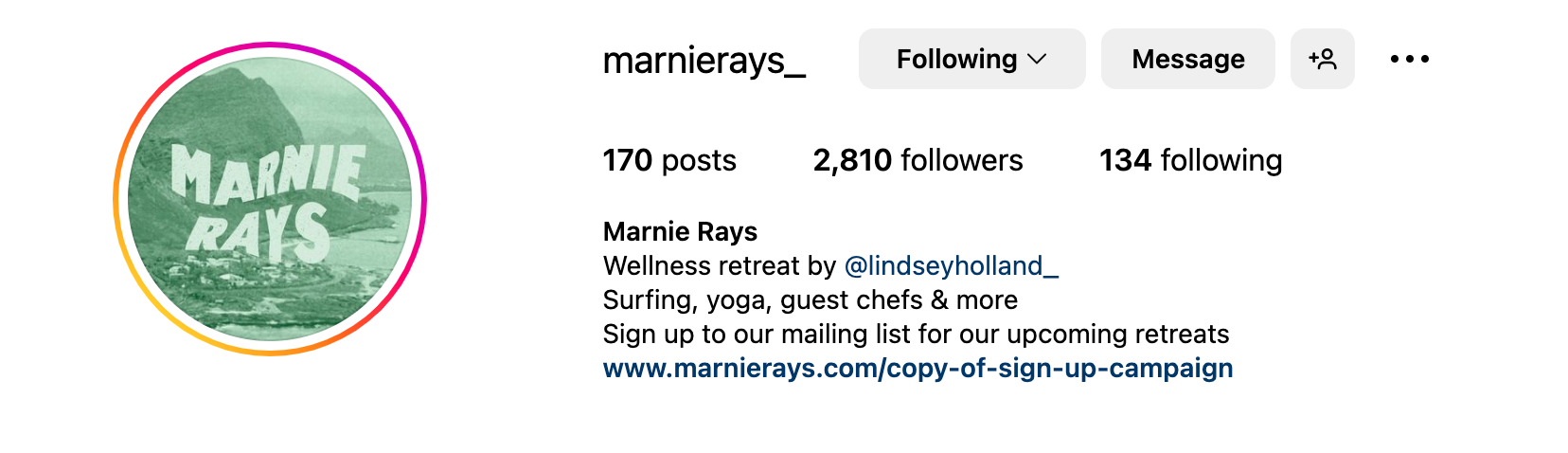 Instagram bio ideas - Marnie Rays