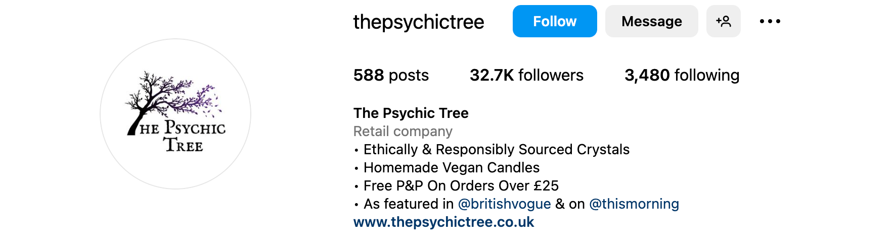 Instagram bio ideas - The Psychic Tree