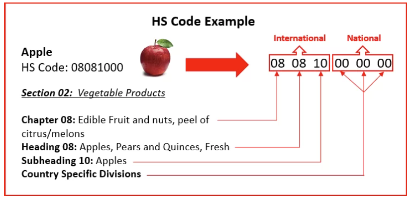 HS code example