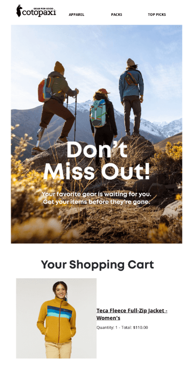 abandoned-cart-email-Cotopaxi