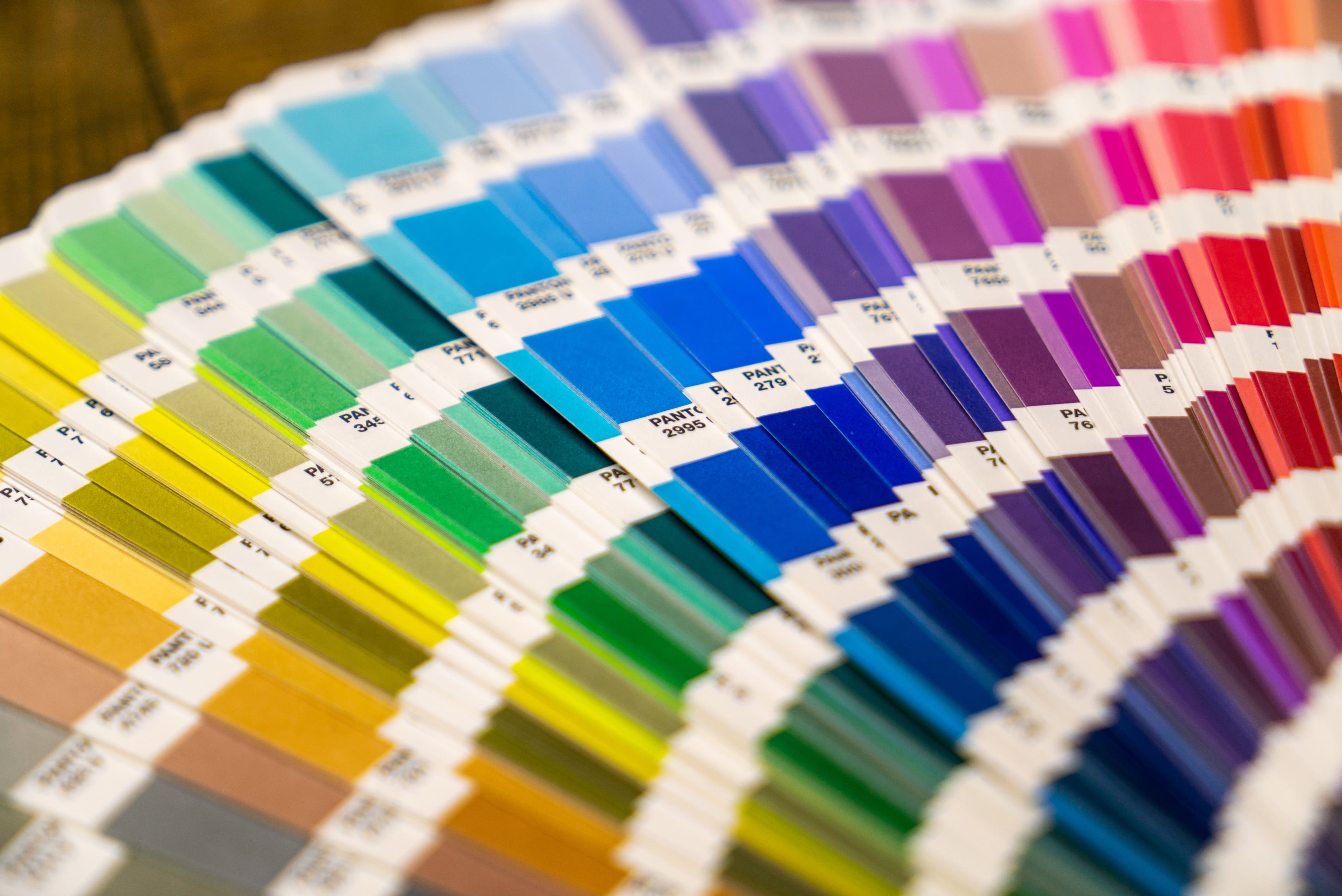 A Guide to Colour Theory & Branding for Your Business