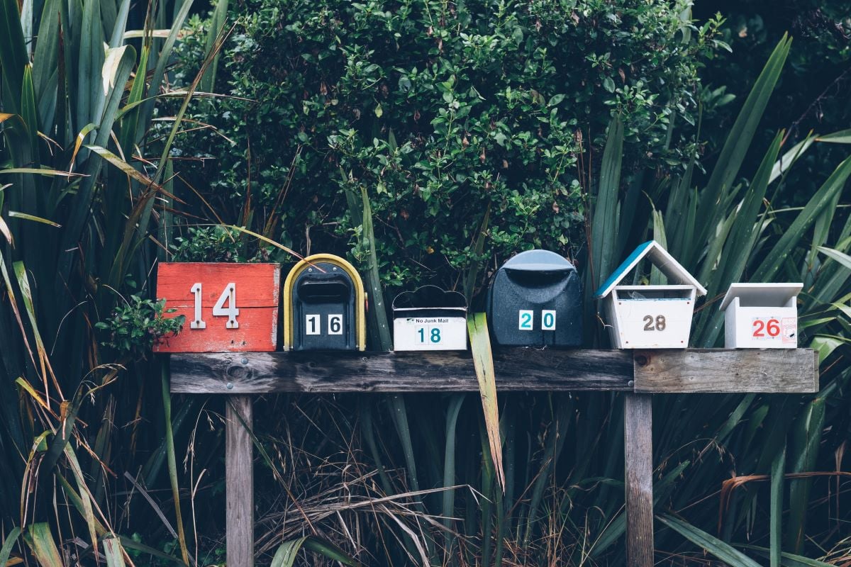 6 Tips for Writing Captivating Newsletters